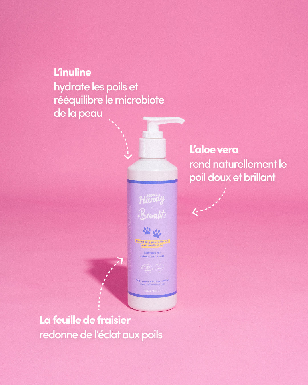 Shampoing Animaux x Bandit