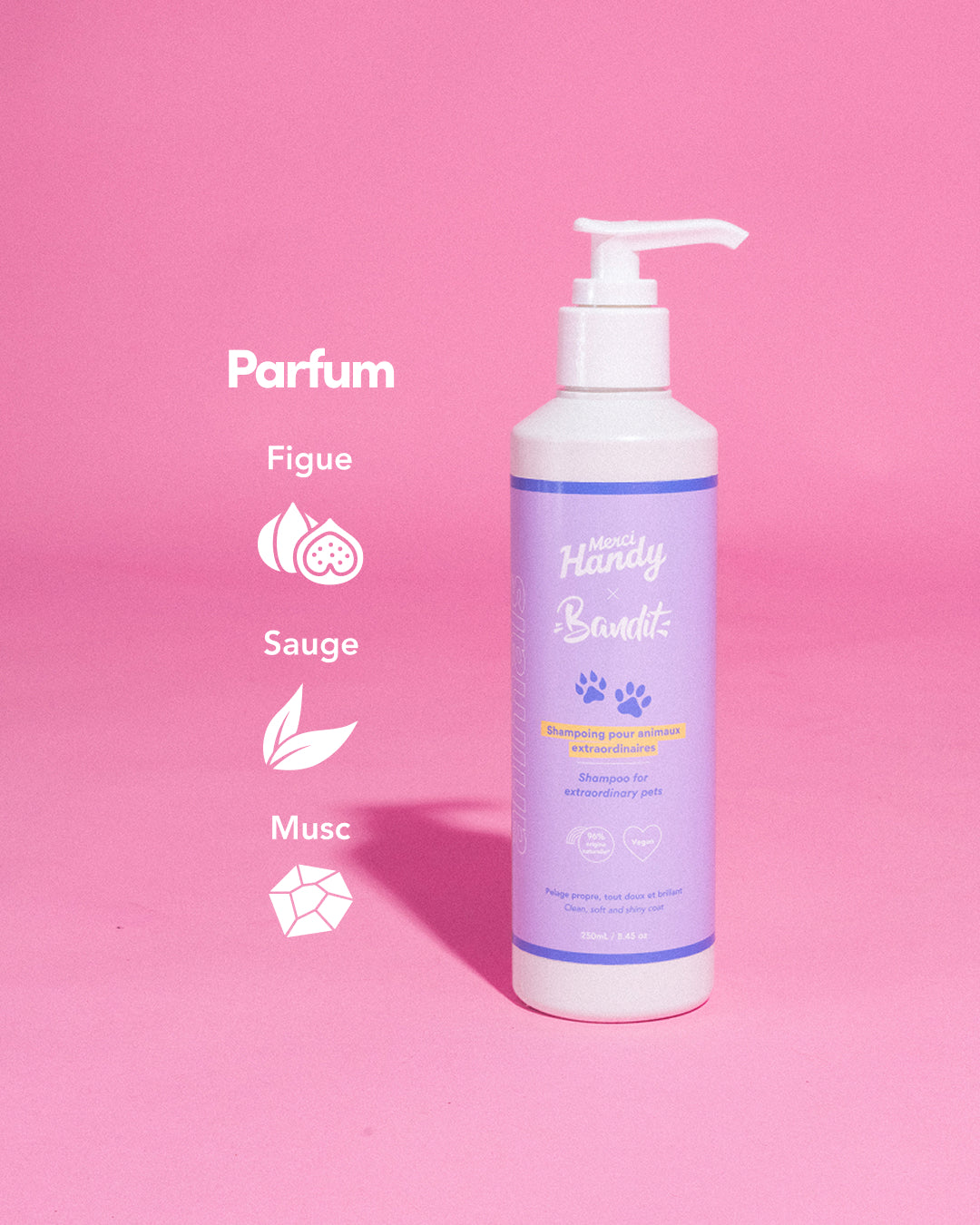 Shampoing Animaux x Bandit