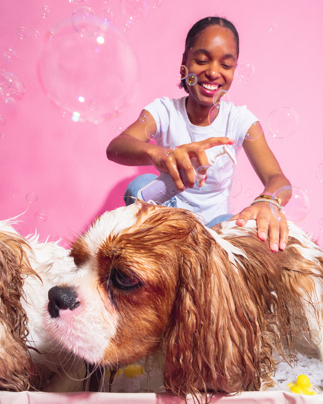 Pet Shampoo x Bandit