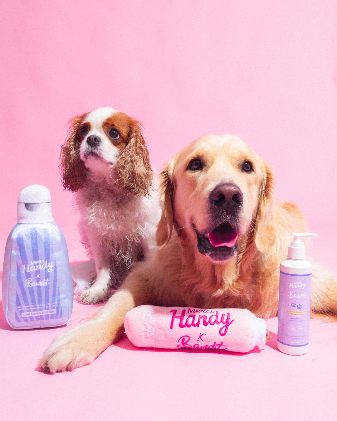 Shampoing Animaux x Bandit