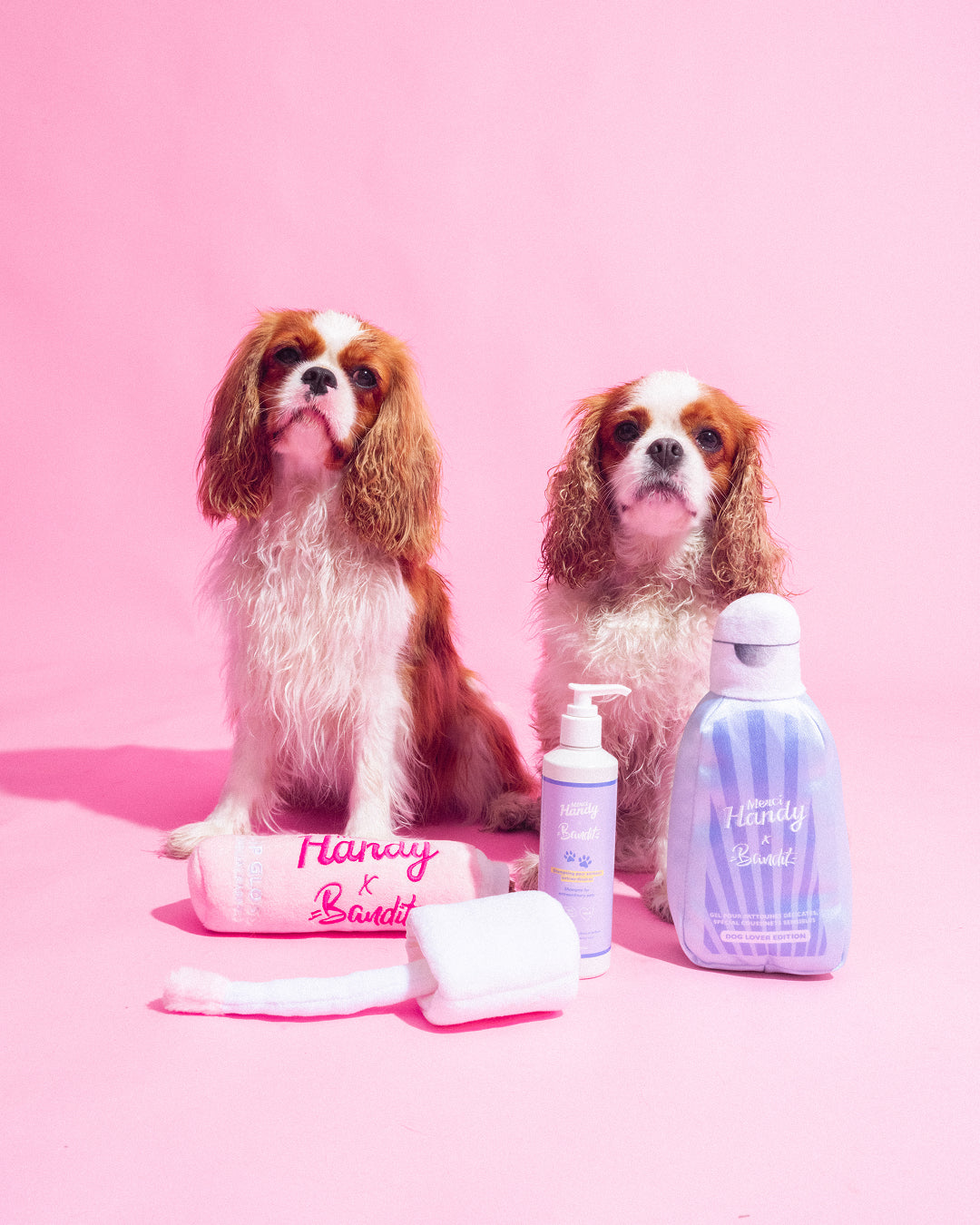 Master Pack Bandit: Shampoo + Soft toys