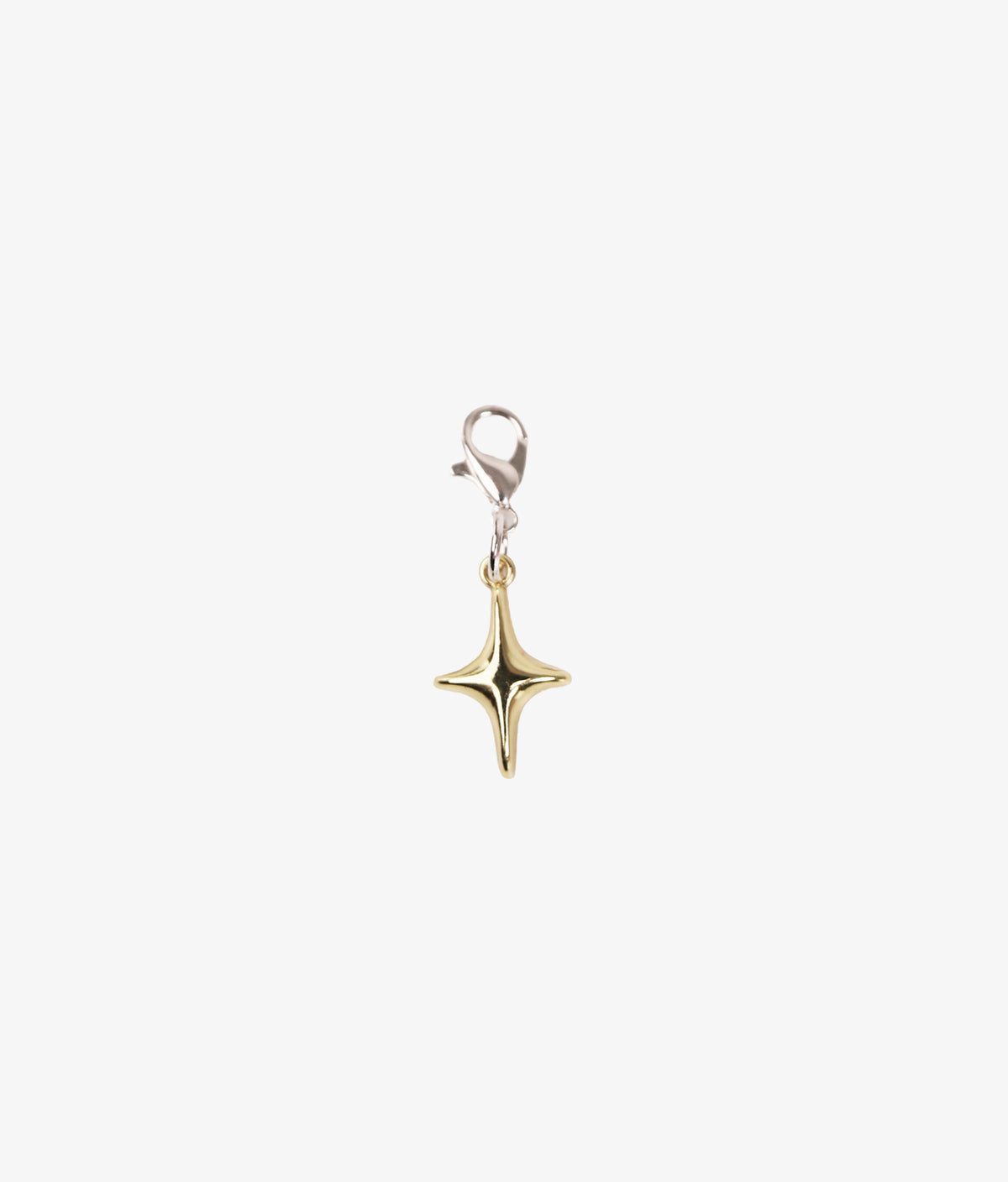 Charm Glitter Fever